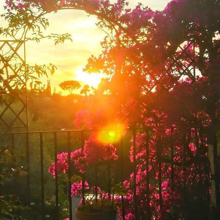 Villa L'Ulivina Sorrento Kültér fotó