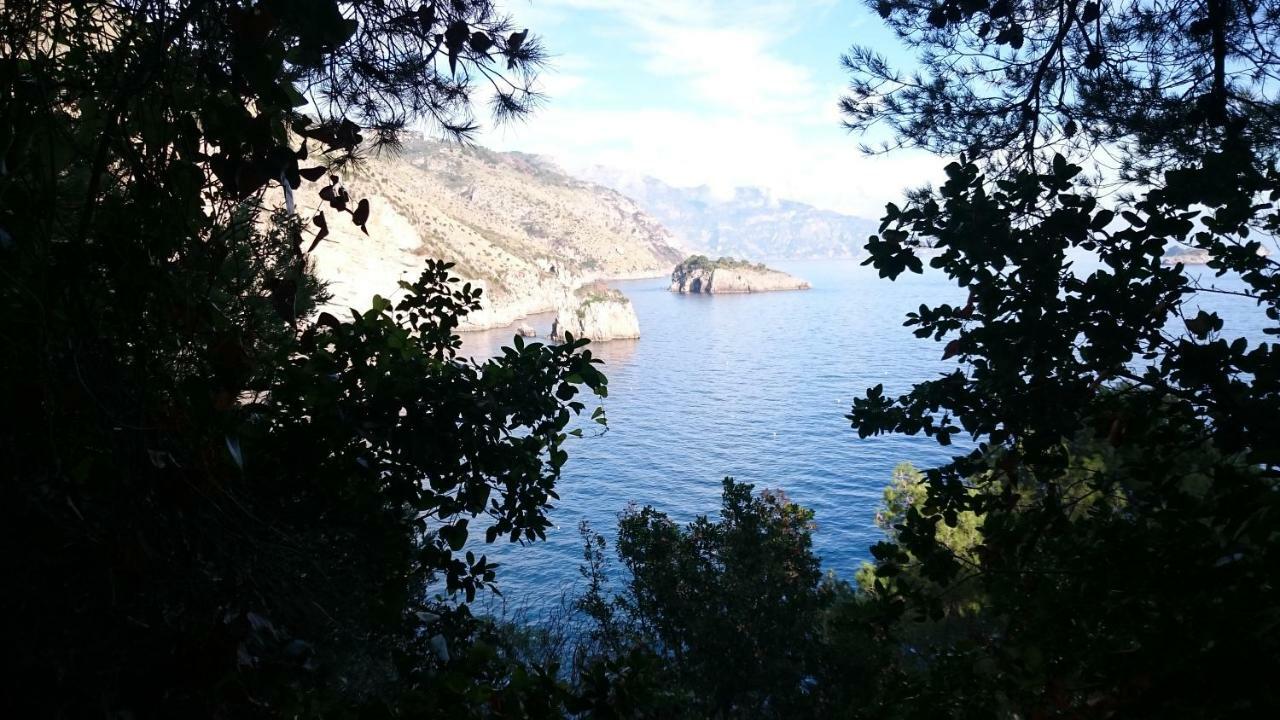 Villa L'Ulivina Sorrento Kültér fotó