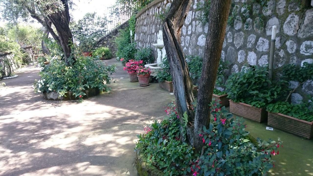 Villa L'Ulivina Sorrento Kültér fotó