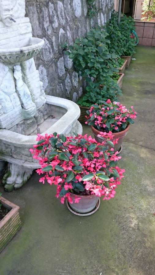 Villa L'Ulivina Sorrento Kültér fotó