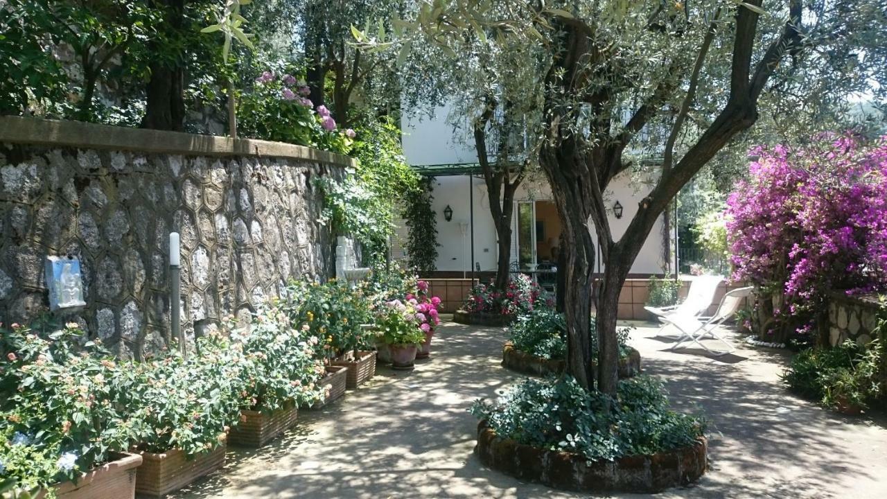 Villa L'Ulivina Sorrento Kültér fotó