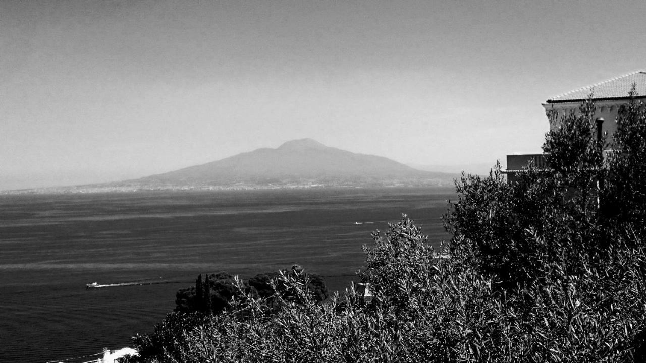 Villa L'Ulivina Sorrento Kültér fotó